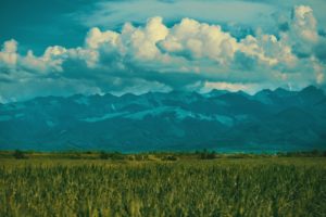 Sustainable Wedding Alliance